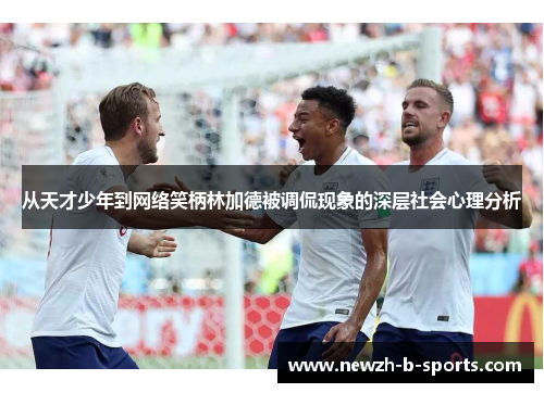 从天才少年到网络笑柄林加德被调侃现象的深层社会心理分析