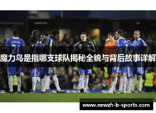 魔力鸟是指哪支球队揭秘全貌与背后故事详解